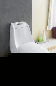 欧美设计直冲式马桶