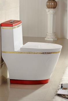 哑光釉面描金坐便器