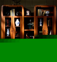 艺术多功能书柜