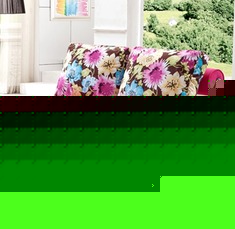 竹炭天然乳胶沙发床