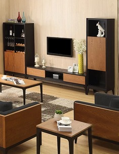 双色混搭水曲柳电视柜