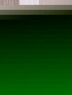 蝴蝶雕花银箔边柜角柜