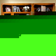 皇家匠人实木雕刻书柜