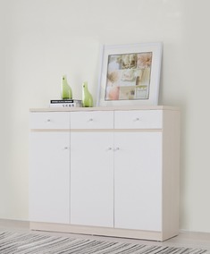 对拉门防尘鞋柜