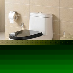 虹吸式普通坐便器