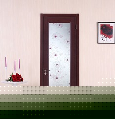 时尚免漆平开式厨卫门