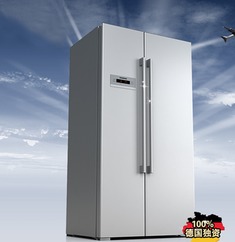 德国进口独立式双开门电冰箱