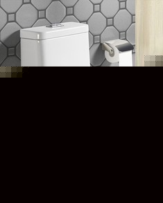 虹吸式环保坐便器