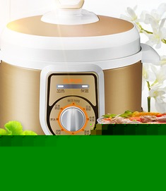 煲、煮、炖电压力锅