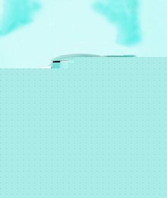 不锈钢精准温控电热水壶