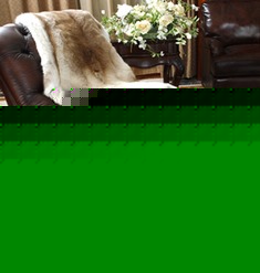 皮艺美人榻沙发