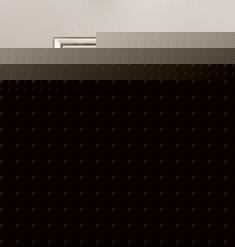 现代中式植物花卉单联画