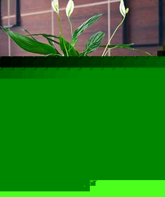 纯手工雕刻双边流水摆件