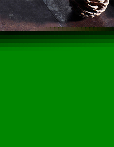 条纹双用设计防臭地漏