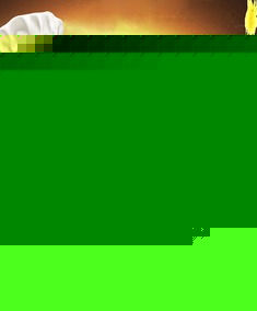 美的双撒果料面包机