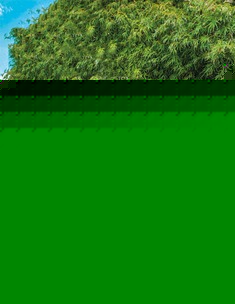 电动家庭修枝机