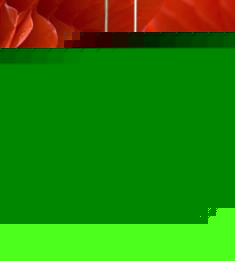 植绒喜字婚礼大红灯笼