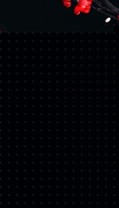 织锦缎结婚刺绣红包