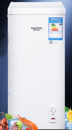 白色迷你出租屋冷柜