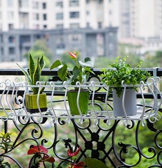 阳台壁挂铁艺花架