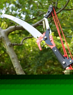 可伸缩树木高枝剪