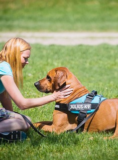 可伸缩K9牵引绳