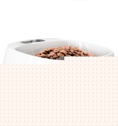 智能抗菌称重宠物食盆