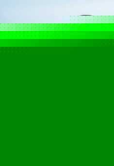 便携遛狗拾便器