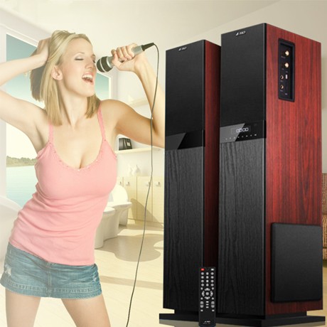 奋达带收音功能电视音响，多媒体落地式K歌音箱，家庭影院配置音响