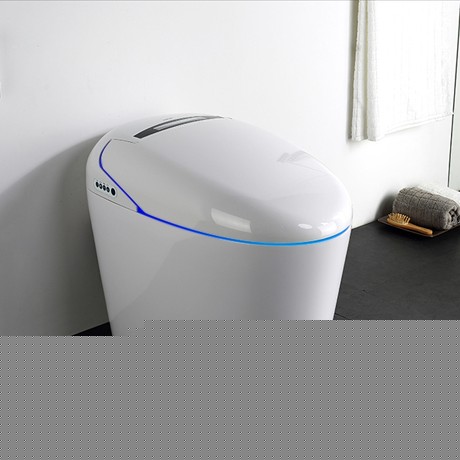 宝生元白色椭圆形智能马桶，地排式女性清洗陶瓷坐便器，型号：9060