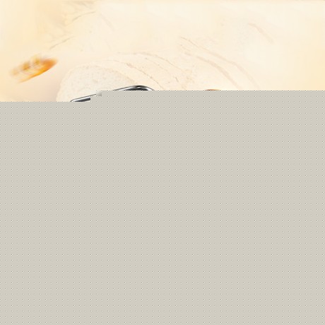 柏翠双自编程序简约时尚面包机，香槟金电热管加热安全耐用厨房电器