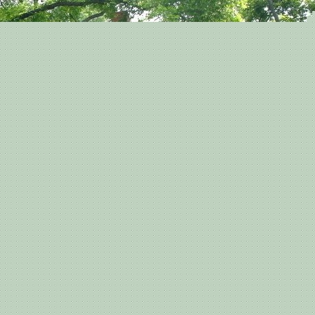 现代简约木大精工品牌照明壁灯，LED太阳能防水庭院景观灯，型号SL891