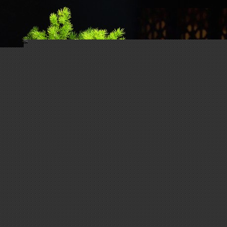 艺韵蓬莱松观叶植物，pls01中式仿古盆景，禅定沙弥观景盆栽