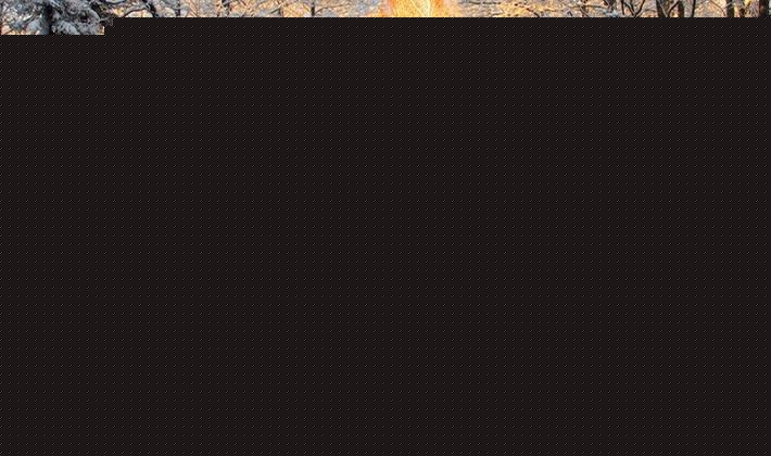 lovo品牌厚实保暖的白鸭绒被芯，环保健康的冬季羽绒被，货号轻盈磨毛白鸭绒被第2代