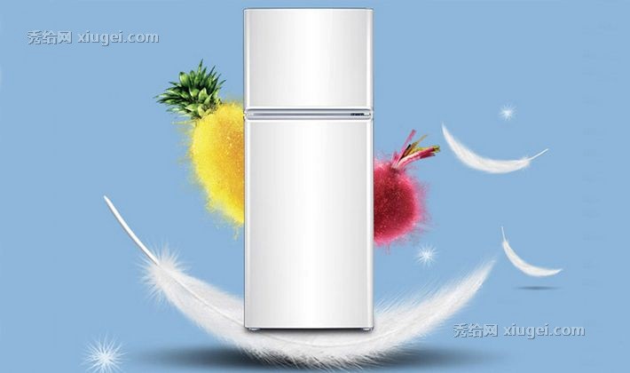 TCL小型双门冰箱，节能静音家用冰柜，118L分类储藏冰箱BCD-118KA9