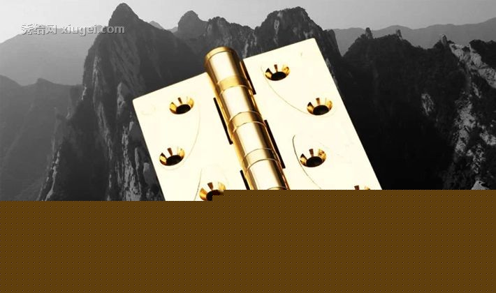 顶固品牌纯铜金拉丝合页，优雅美观花语系列五金配件，型号901030101024089