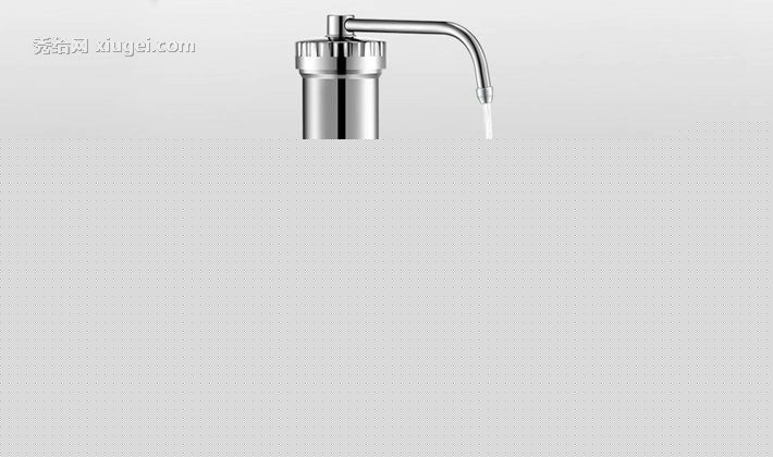 德克西不锈钢色圆柱形净水器，矽藻滤芯直饮自来水过滤器，型号：G1-1