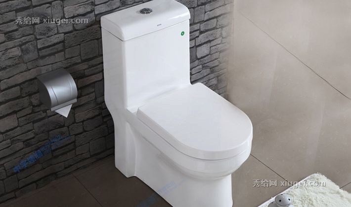 中宇品牌领先重力虹吸式马桶，带缓冲盖板的马桶，品牌认证，一体成型，型号WJY60004