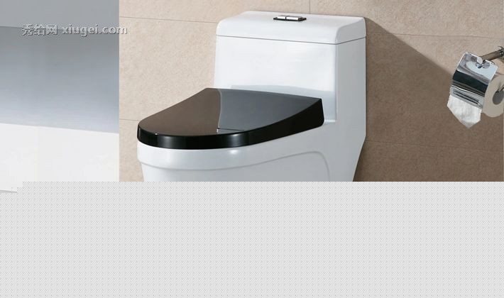 法陶简约时尚奢华座便器，虹吸式连体陶瓷静音马桶， FZ2113