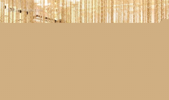 麦卡米牌穿杆式门帘，s707型现代简约式线帘，全进口高档色丝材质