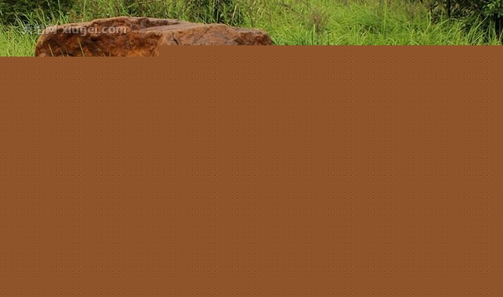 朗吉蒂品牌现代简约落地式庭院灯，2.8瓦LED太阳能围墙灯，型号W-601室外灯