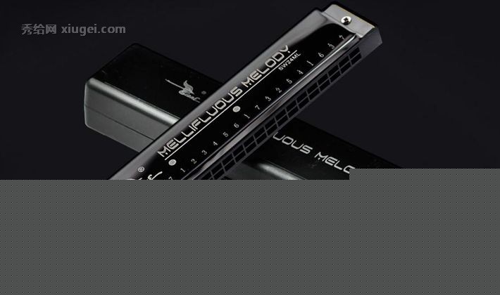 天鹅黑色长方形复音口琴，儿童入门24孔树脂口琴，型号：SW24ML