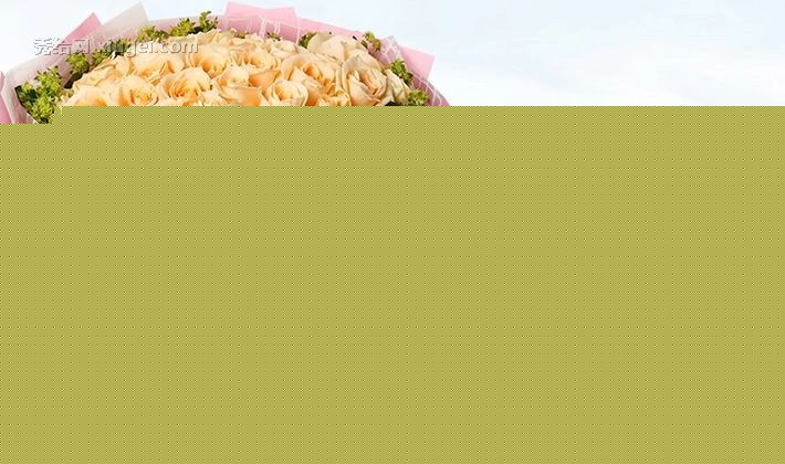 爱尚鲜花品牌33枝香槟玫瑰表达爱意，黄莺满天星点缀的鲜花，货号a1019