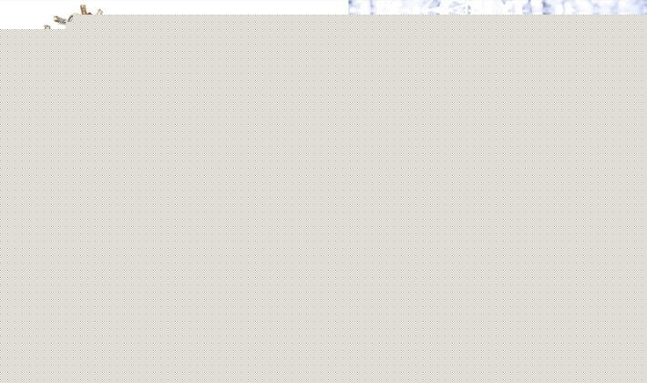 奥薇简约纯白亚克力圆形灯，现代优雅LED卧室吸顶灯，型号: MB1091