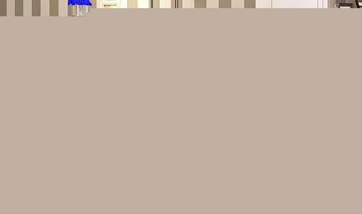 亿家达现代简约烤漆鞋柜，多功能可调节时尚鞋架，型号：203-079