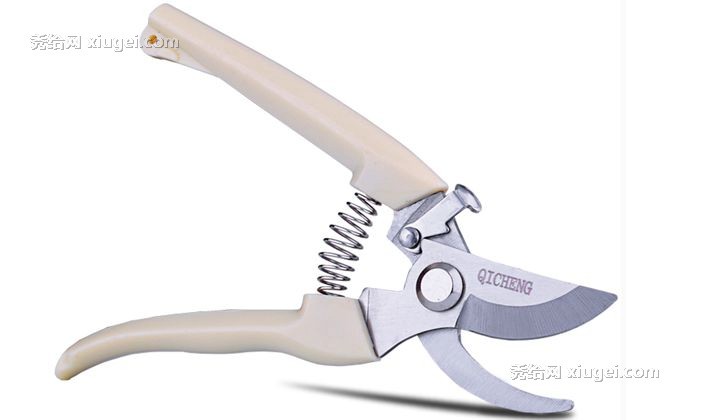琦城进口刀刃树枝剪刀，修枝剪花园林钢制剪子，型号: 园艺剪刀