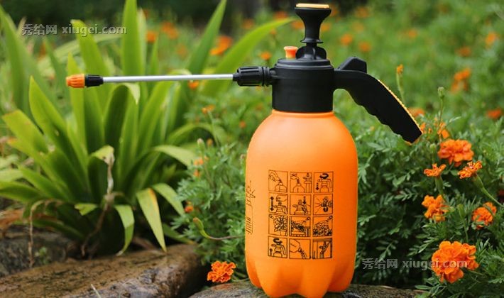 DEEPBANG园艺喷水壶，2L气压式洒水壶，喷雾器浇花养花园艺工具