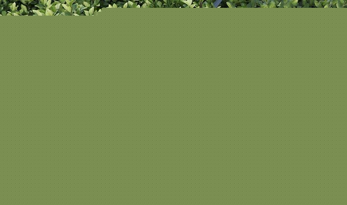 潘易园林绿化整篱剪，树枝花木篱笆剪，PGS系列园林工具修枝剪