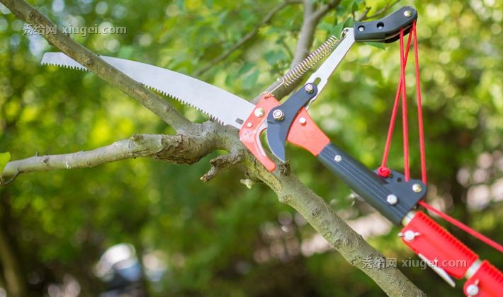 瑞普可伸缩铝杆高枝剪，GHJ001树枝高空剪子，剪锯两用修枝剪