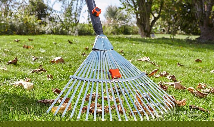 嘉丁拿草耙园艺工具，可伸缩弹簧钢落叶耙，草坪清扫园艺工具